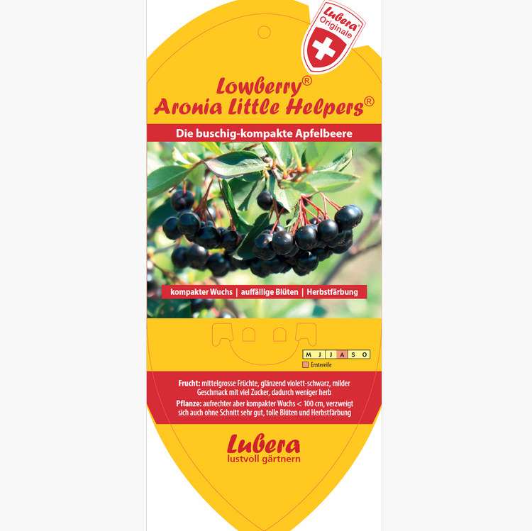 Bildetiketten - Aronia prunif. Lowberry® 'Little Helpers®'