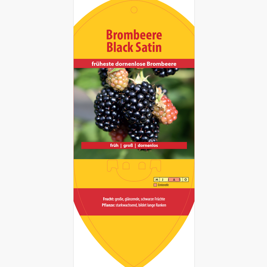 Picture labels - Rubus frut. 'Black Satin'