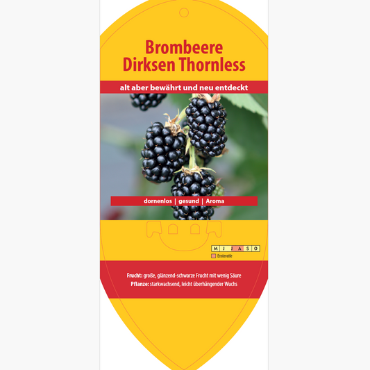 Picture labels - Rubus frut. 'Dirksen's Thornless'