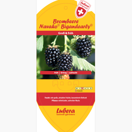 Picture labels - Rubus frut. 'Navaho® Bigandearly®'