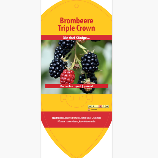 Picture labels - Rubus frut. 'triple crown'