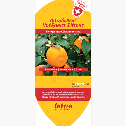 Bildetiketten - Citrus volkameriana 'Volkamerzitrone'