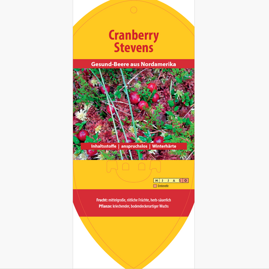 Picture labels - Vaccinium macro. 'Stevens'