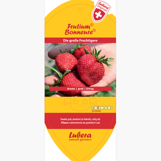 Bildetiketten - Fragaria 'Bonneure®'