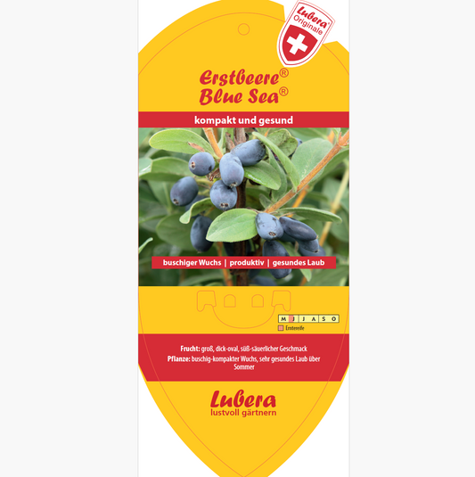 Bildetiketten - Lonicera cearulea Erstbeere® 'Blue Sea®'