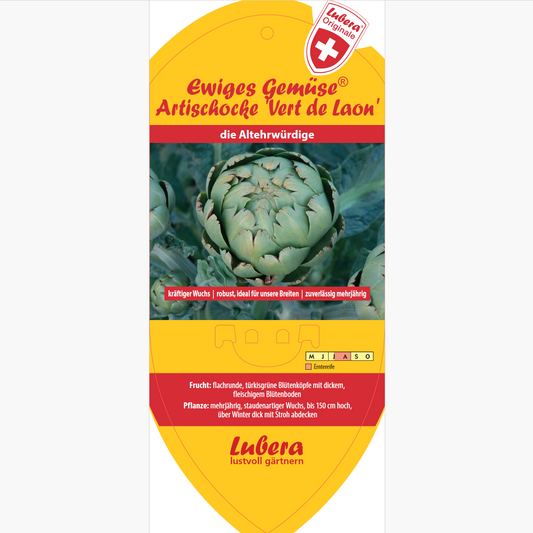 Artichoke Vert de Laon