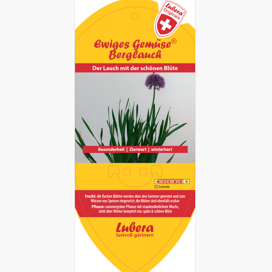 Bildetiketten - Allium senescens 'Berglauch'