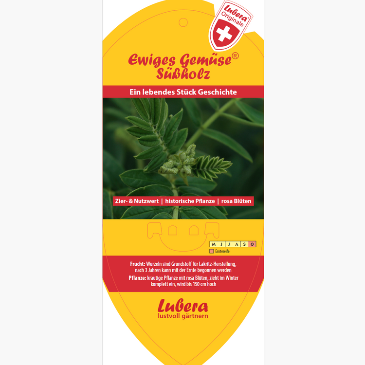 Bildetiketten - Glycyrrhiza glabra 'Süßholz'