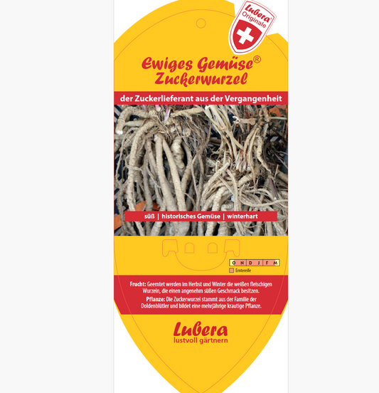 Picture labels - Sium sisarum 'Sugarroot'