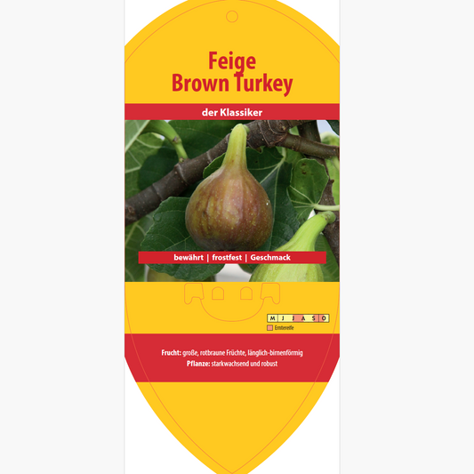 Picture labels - Ficus carica 'Brown Turkey'