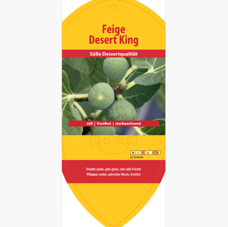 Bildetiketten - Ficus carica 'Desert King'