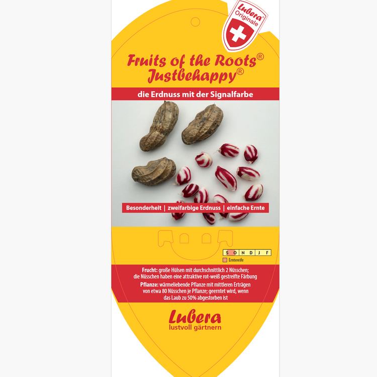 Bildetiketten - Arachis 'Justbehappy®'