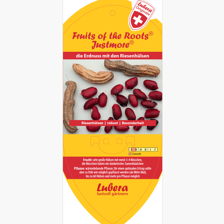 Bildetiketten - Arachis 'Justmore®'