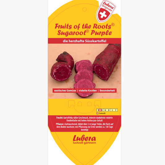 Bildetiketten - Ipomoea bat. Sugaroot® Purple