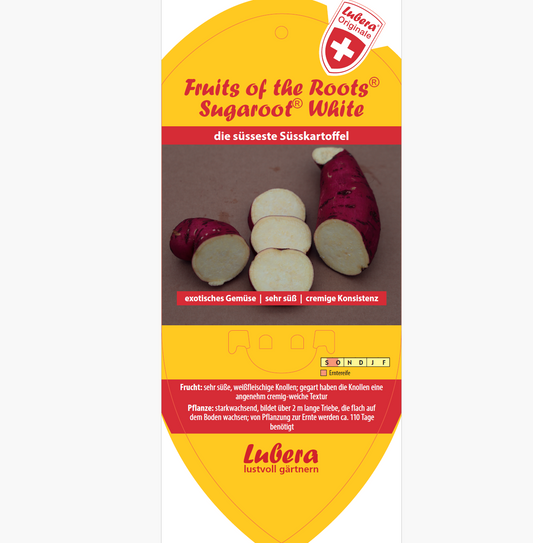 Bildetiketten - Ipomoea bat. Sugaroot® White