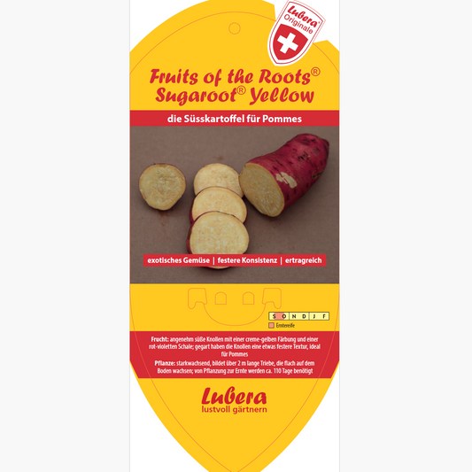 Bildetiketten - Ipomoea bat. Sugaroot® Yellow