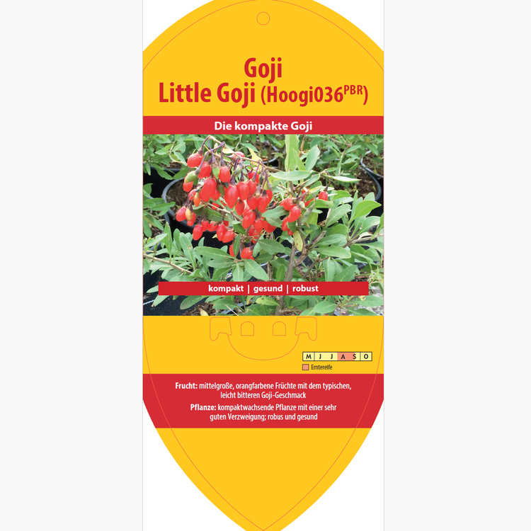 Bildetiketten - Lycium 'Little Goji'
