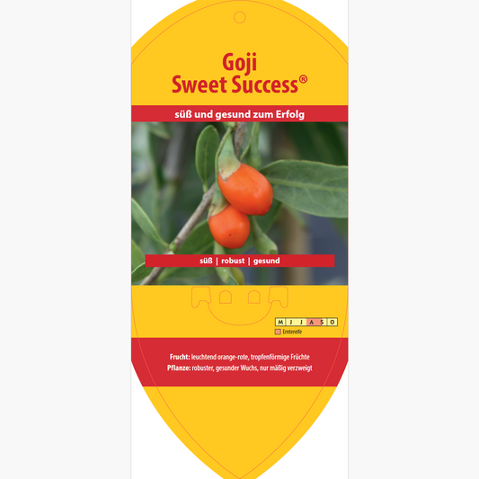 Picture labels - Lycium 'Sweet Success®'