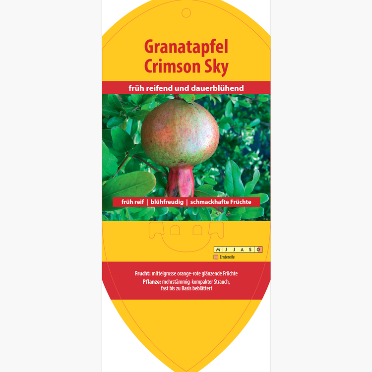 Bildetiketten - Punica gra. 'Crimson Sky'
