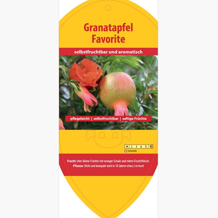 Bildetiketten - Punica gra. 'Favorite'