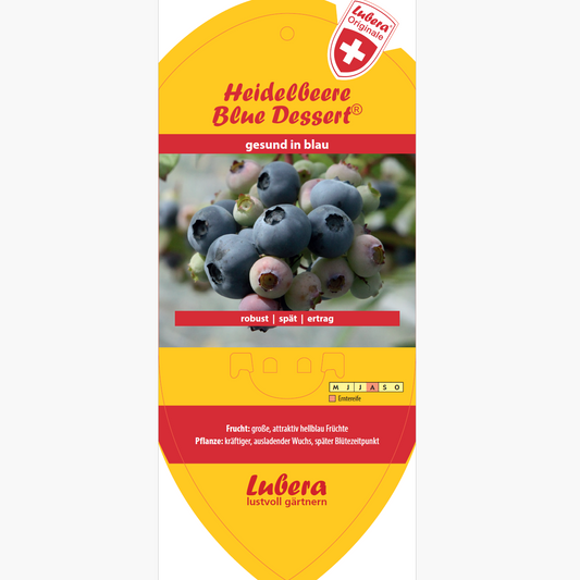 Bildetiketten - Vaccinium cor. 'Blue Dessert®'