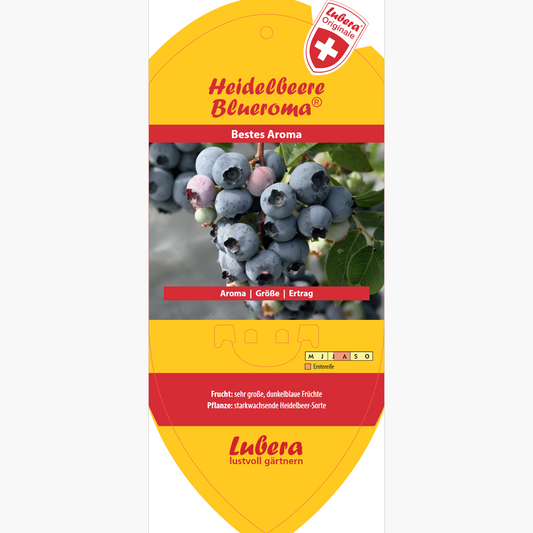 Bildetiketten - Vaccinium cor. 'Blueroma®'