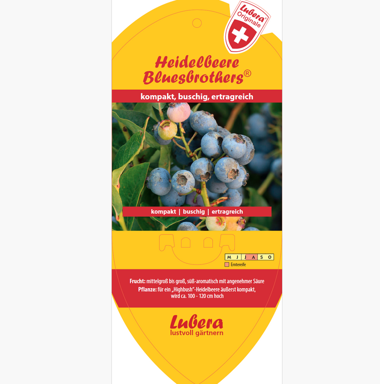 Picture labels - Vaccinium cor. 'Bluesbrothers®'