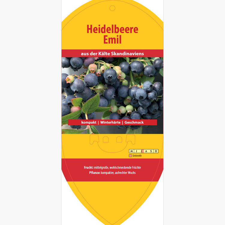 Picture labels - Vaccinium cor. 'Emile'