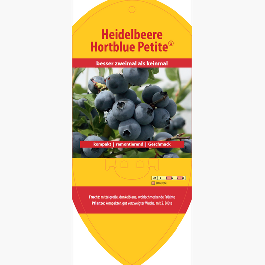 Picture labels - Vaccinium cor. 'Hortblue Petite'
