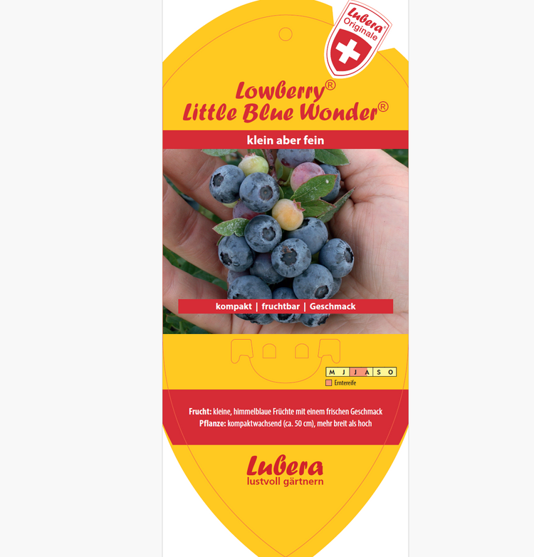 Picture labels - Vaccinium cor. Lowberry® 'Little Blue Wonder®'