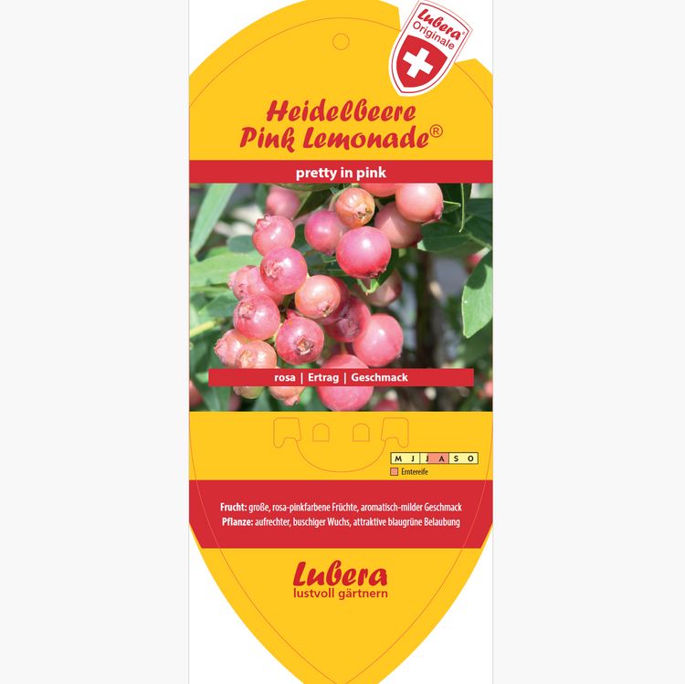 Picture labels - Vaccinium cor. 'Pink Lemonade®'
