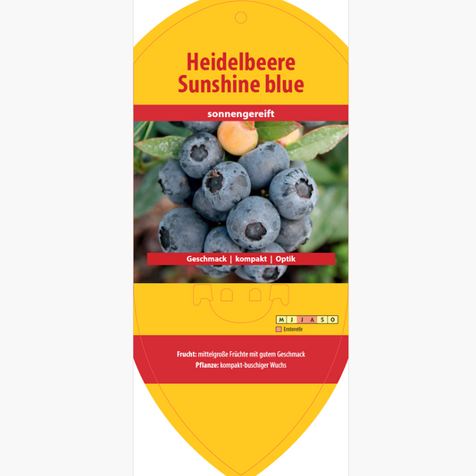 Picture labels - Vaccinium cor. 'Sunshine Blue'