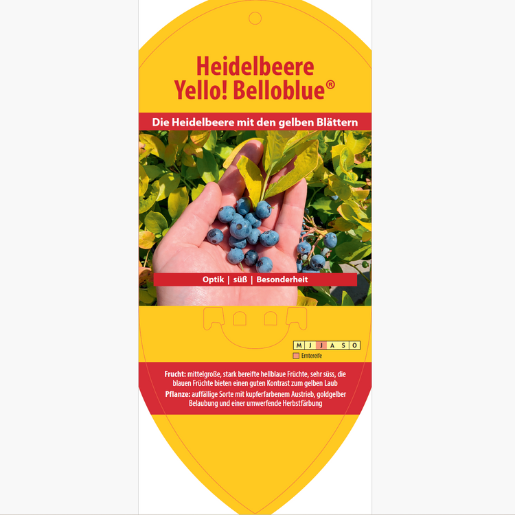 Picture labels - Vaccinium cor. 'Yello!Belloblue®'