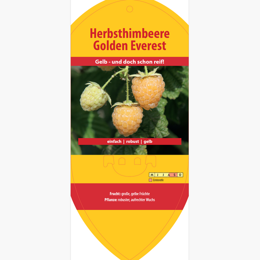 Image labels - Rubus idaeus 'Golden Everest'