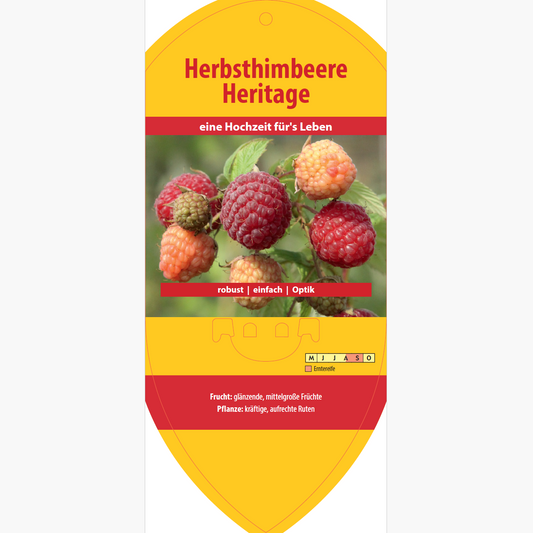 Image labels - Rubus idaeus 'Heritage'