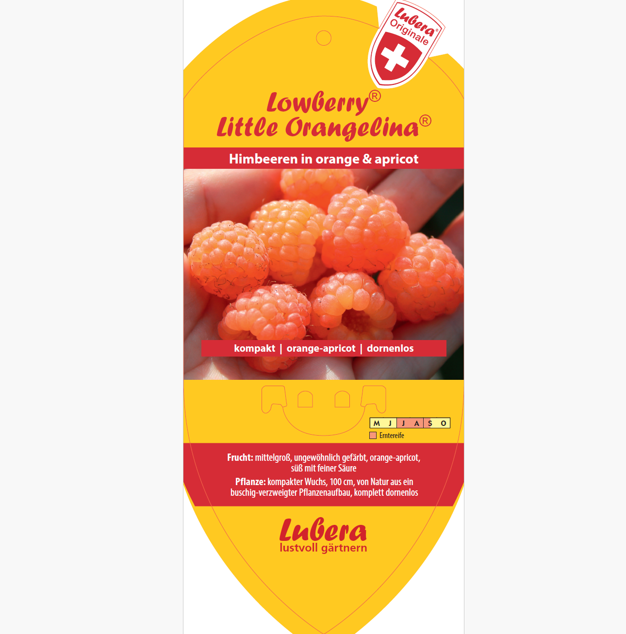 Picture labels - Rubus idaeus Lowberry® 'Little Orangelina®'