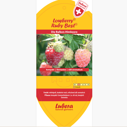 Bildetiketten - Rubus idaeus Lowberry® 'Ruby Best®'