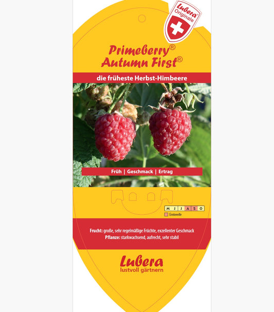 Bildetiketten - Rubus idaeus 'Autumn First®'