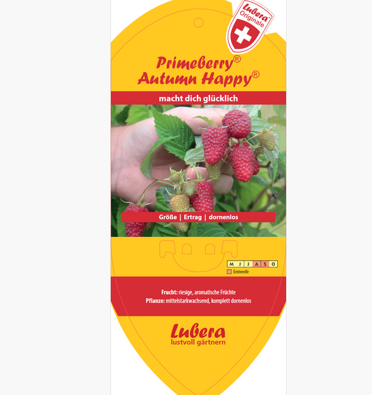 Bildetiketten - Rubus idaeus 'Autumn Happy®'
