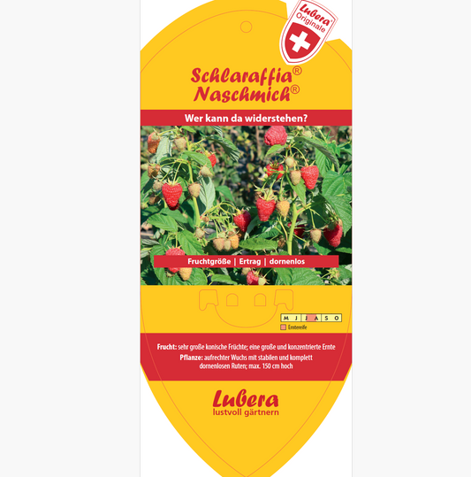 Picture labels - Rubus idaeus Schlaraffia® 'Naschmich®'
