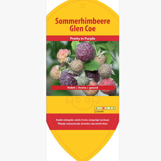 Image labels - Rubus idaeus 'Glen Coe'