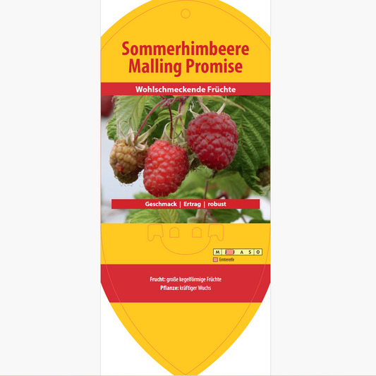 Picture labels - Rubus idaeus 'Malling Promise'