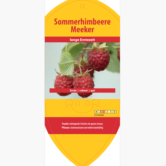 Picture labels - Rubus idaeus 'Meeker'