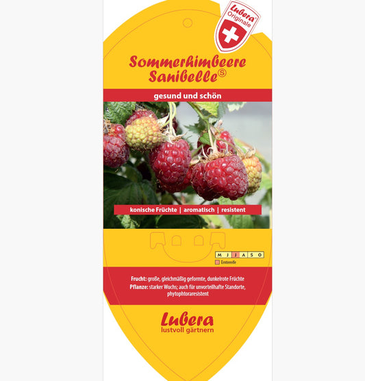 Bildetiketten - Rubus idaeus 'Sanibelle®'