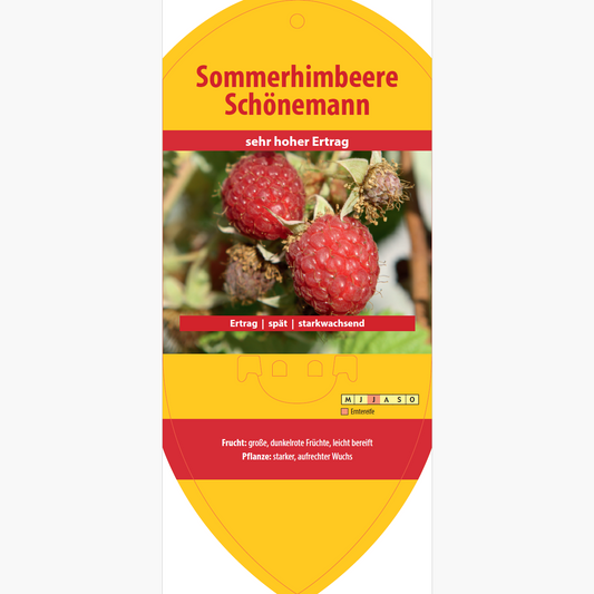 Image labels - Rubus idaeus 'Schoenemann'