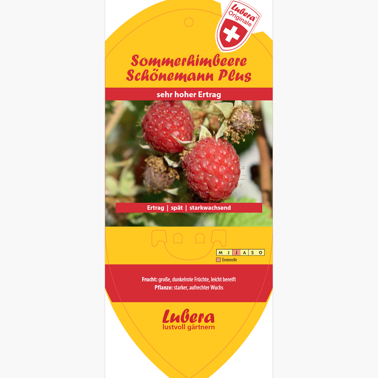 Bildetikettene - Rubus idaeus 'Schönemann Plus®'