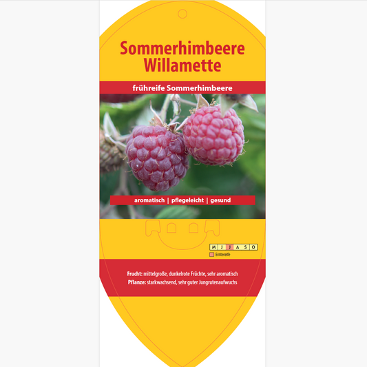 Image labels - Rubus idaeus 'Willamette'