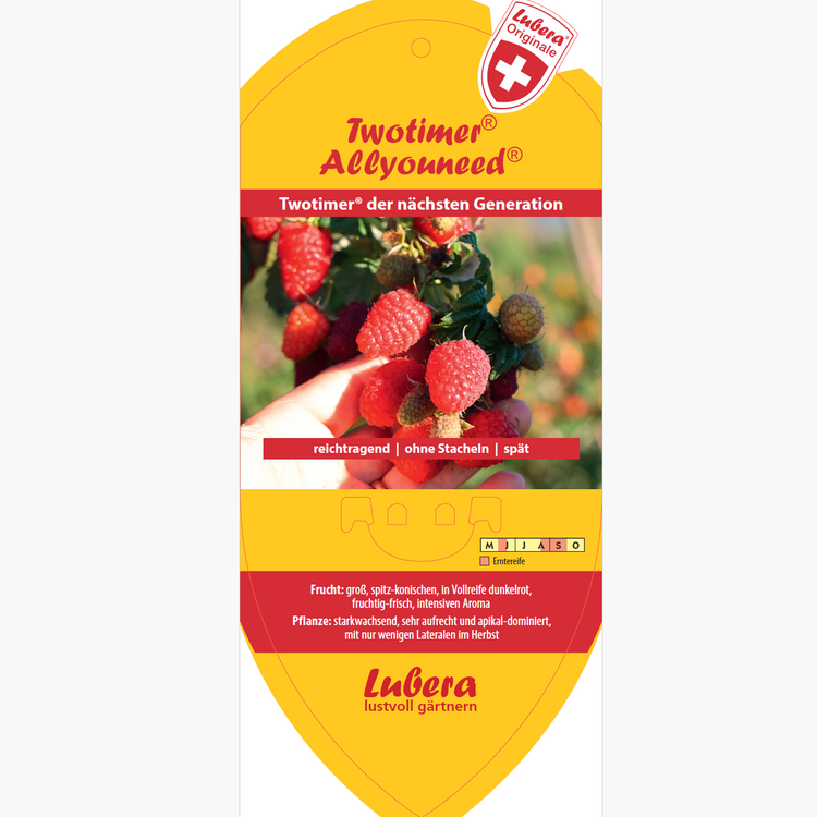 Picture labels - Rubus idaeus Twotimer® 'Allyouneed®'
