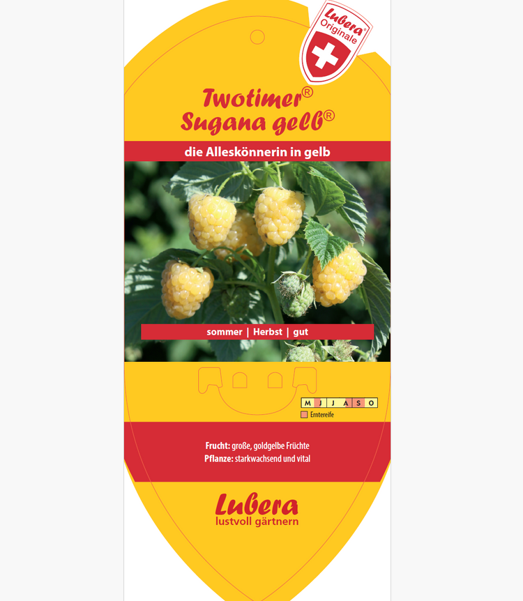 Picture labels - Rubus idaeus Twotimer® 'Sugana yellow'