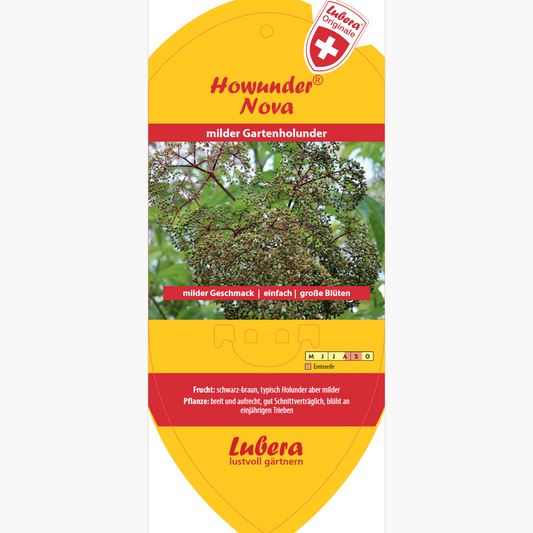 Bildetiketten - Sambucus canadensis Howunder® 'Nova'